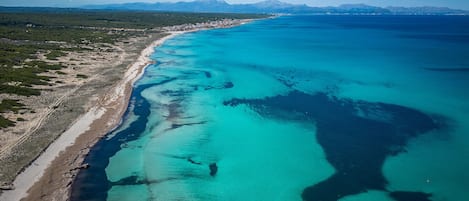 Playa