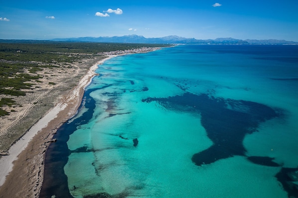 Plage à proximité