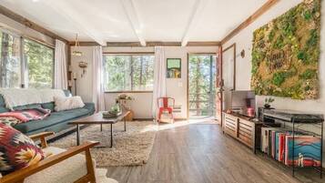 Smart TV, fireplace, books, music library