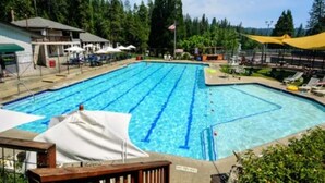 Ein Schwimmbecken mit klarem, blauem Wasser, umgeben von Bäumen und beschattet durch Sonnenschirme.