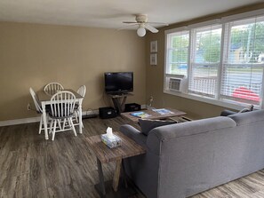 TV, DVD player, books