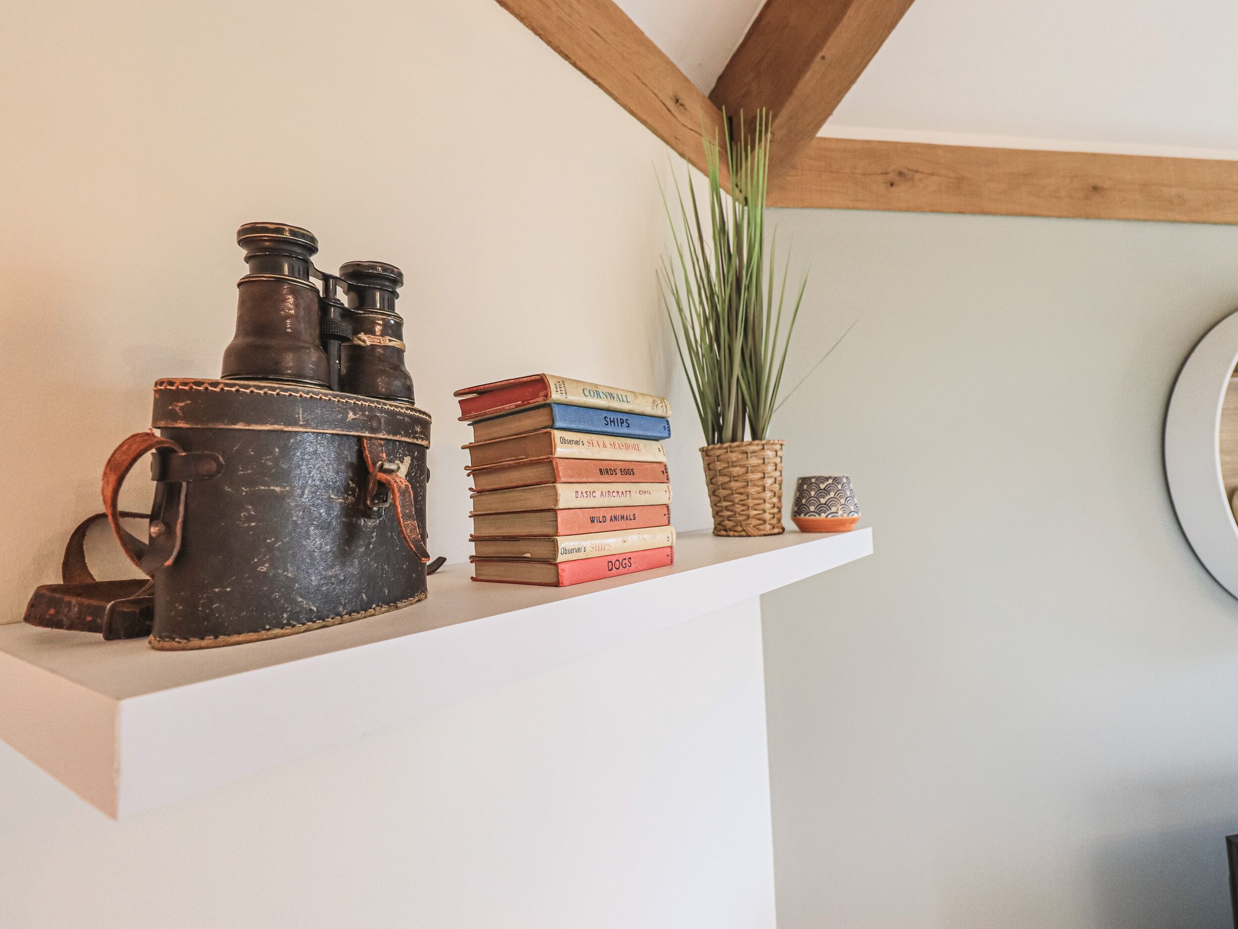 Una estantería con un estuche antiguo para binoculares, una pila de libros, una planta en maceta y un cuenco decorativo.