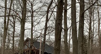 Secluded Authentic Log House w/valley view!