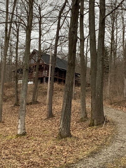 Secluded Authentic Log House w/valley view!