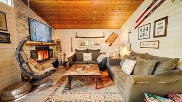 Télévision, cheminée, livres, espaces bureaux