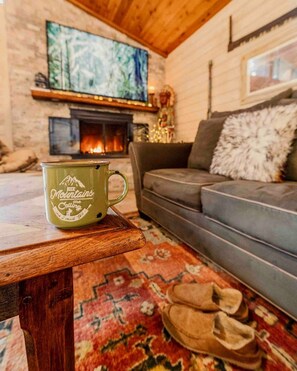 TV, fireplace, books, offices