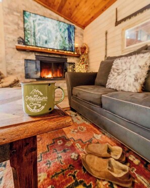 TV, fireplace, books, offices