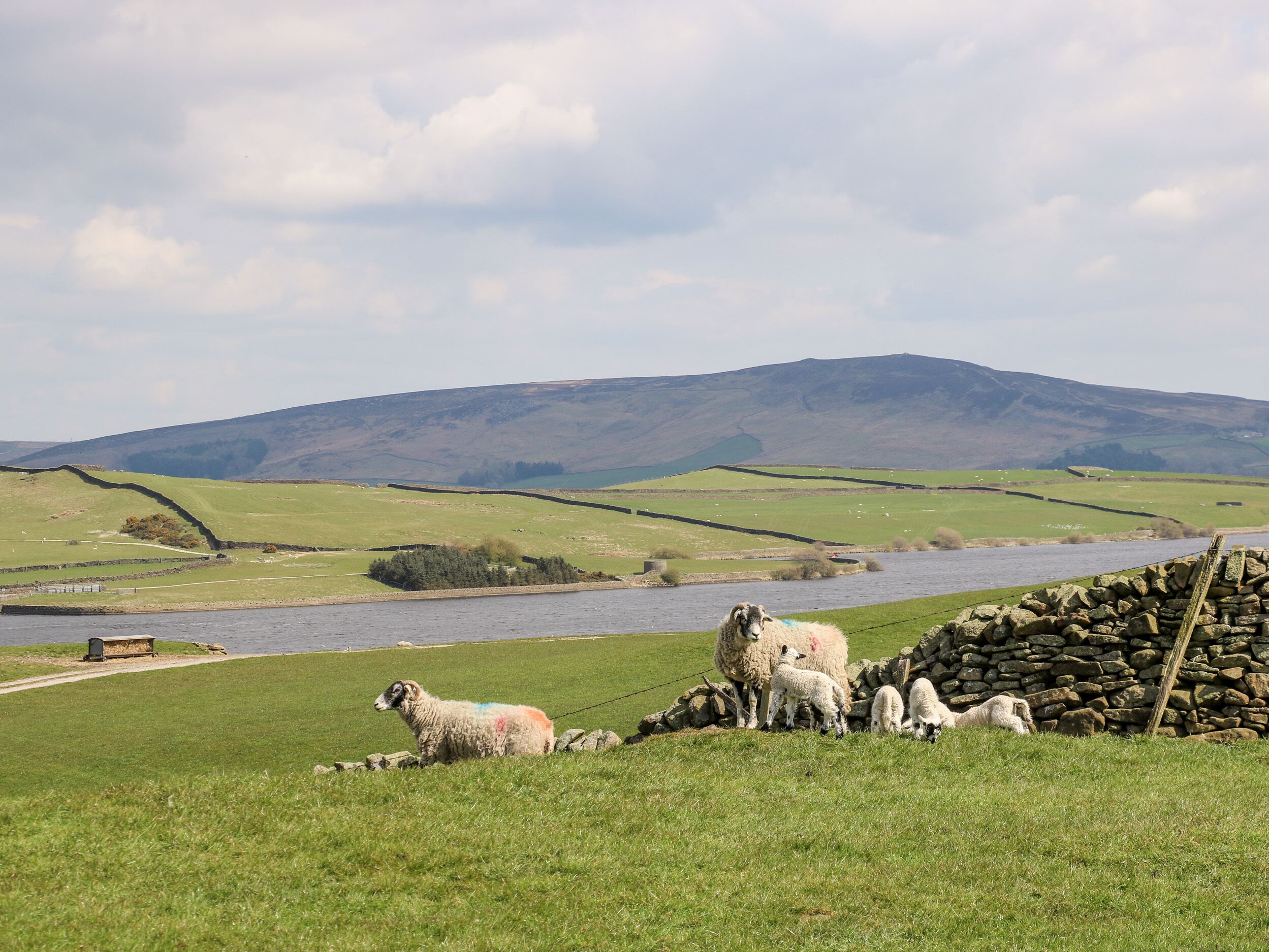 Cottage | Property grounds