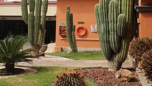 A building with multiple cacti and a small garden area.