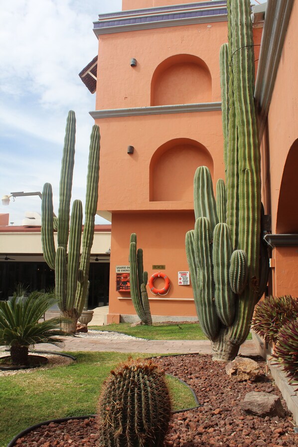 Exterior