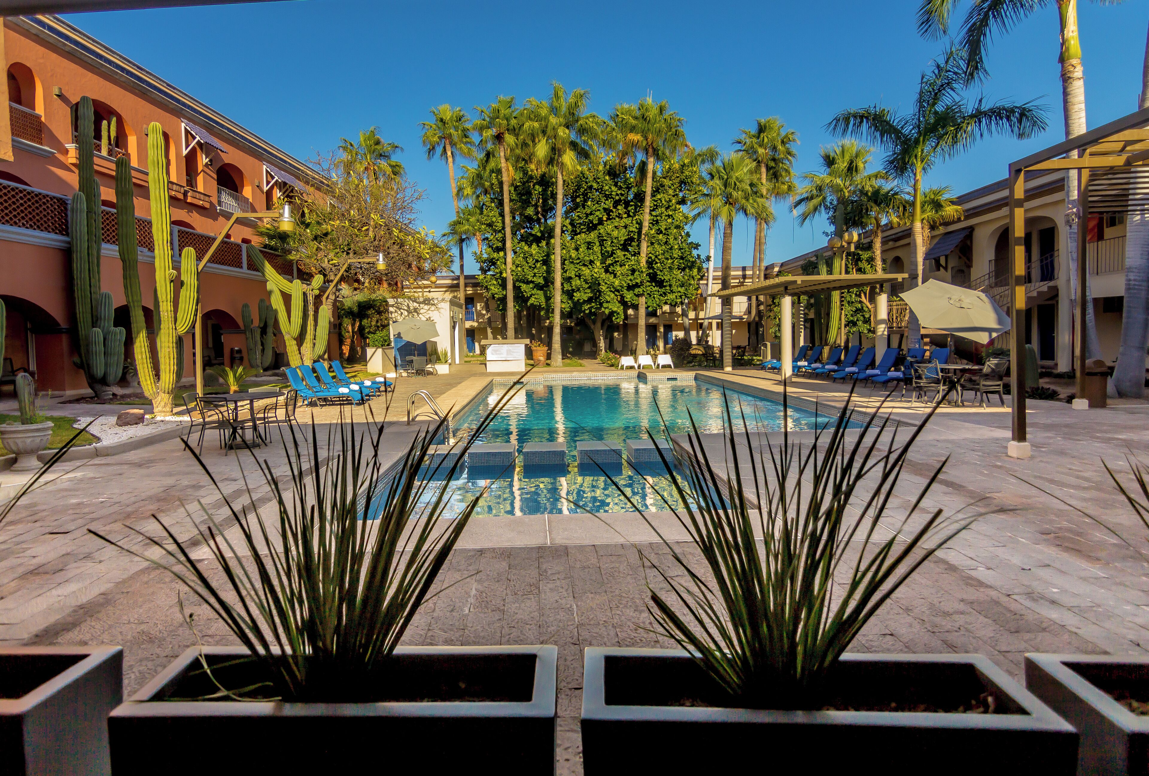 Alberca al aire libre, acceso de 07:00 a 22:00, y camastros 