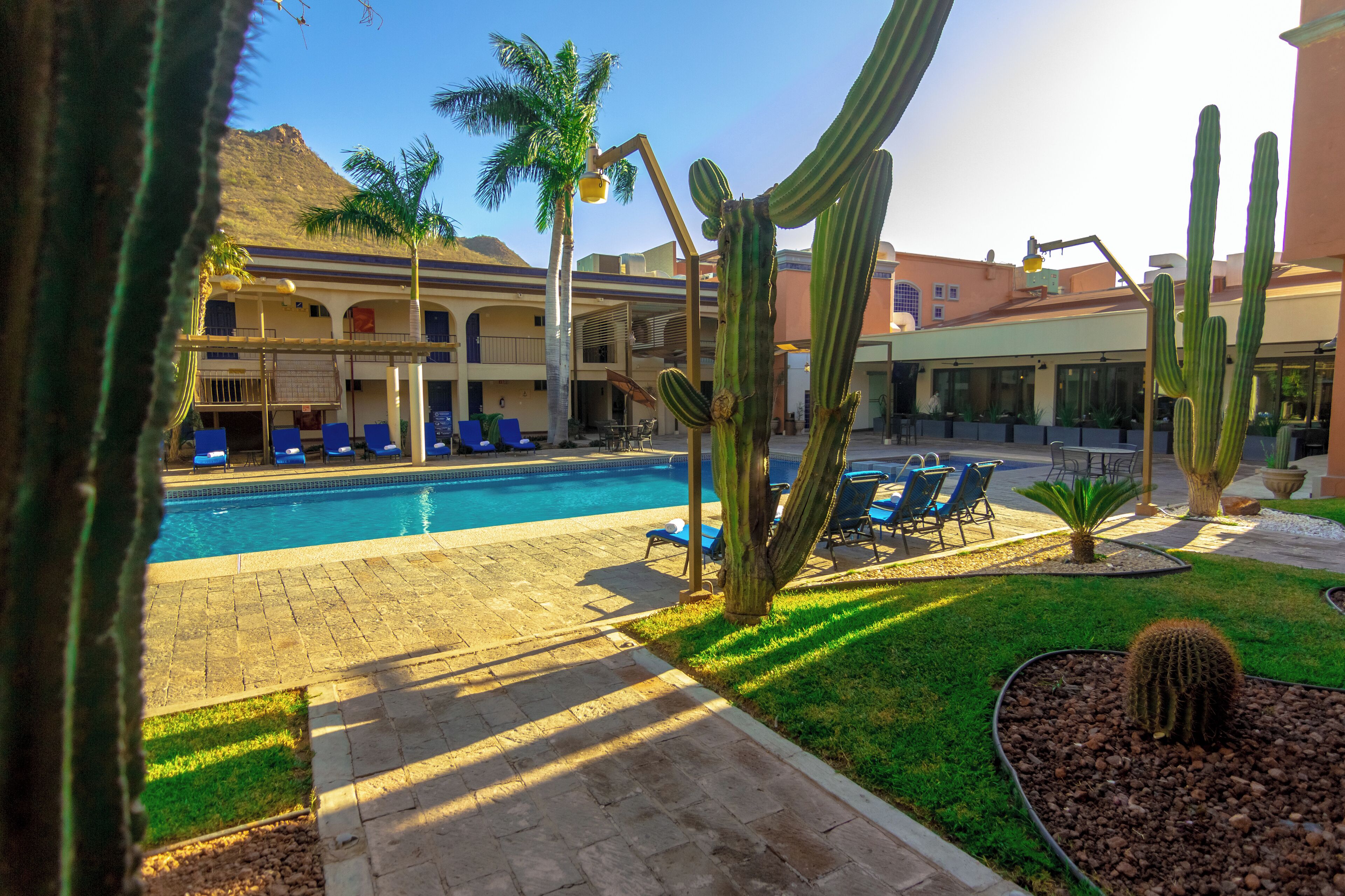 A pool area with lounge chairs, cacti, and a building with arched windows.