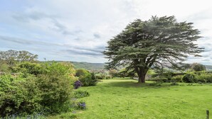 A large tree in a grassy field with a path leading to a stone bridge. - Aislaby Hall (Whitby)