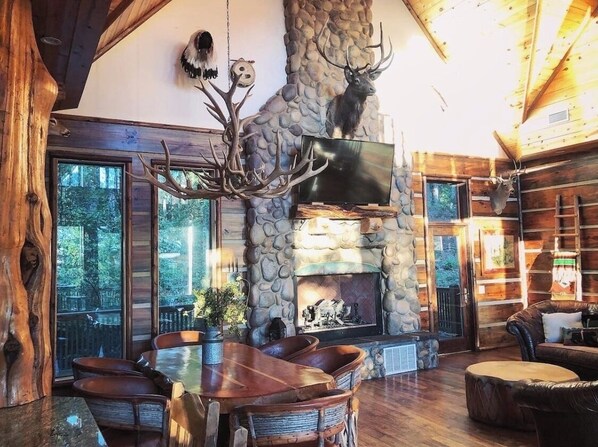 Smart TV, fireplace, books