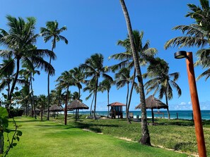 Property grounds - Oka Beach Residence (Ipojuca)