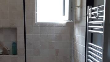Shower, hair dryer, toilet paper