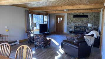 智能電視、壁爐、DVD 播放機