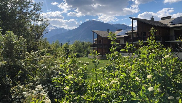 A two-story building with a sloped roof and solar panels, surrounded by lush greenery and flowering plants. - Guillestre T2 with terrace, close to shuttles to Queyras resorts (Guillestre)