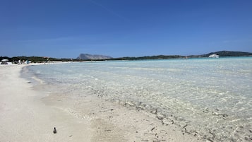 Una spiaggia nelle vicinanze