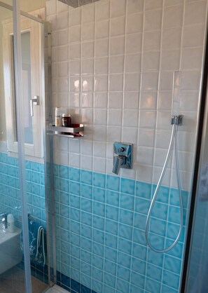Combined shower/tub, hair dryer, bidet, towels