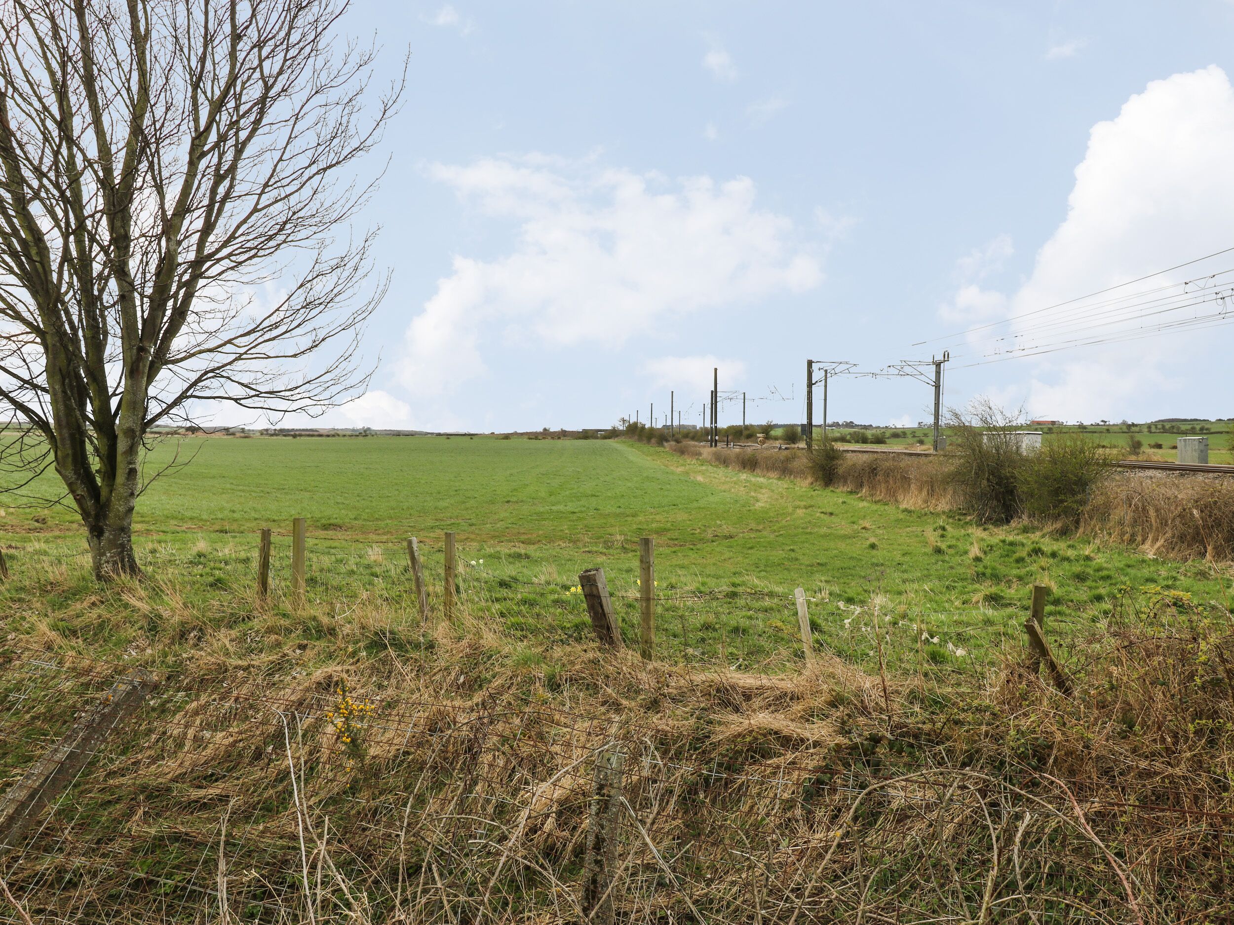 Ländliche Landschaft mit einem eingezäunten Feld, einem kahl stehenden Baum und Stromleitungen in der Ferne.