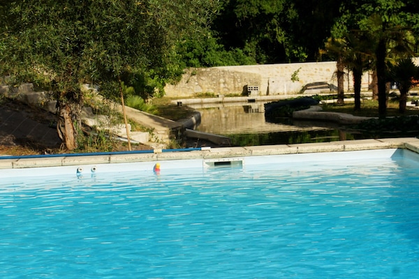 La piscine et en arrière plan le plan d'eau où se situe le gîte