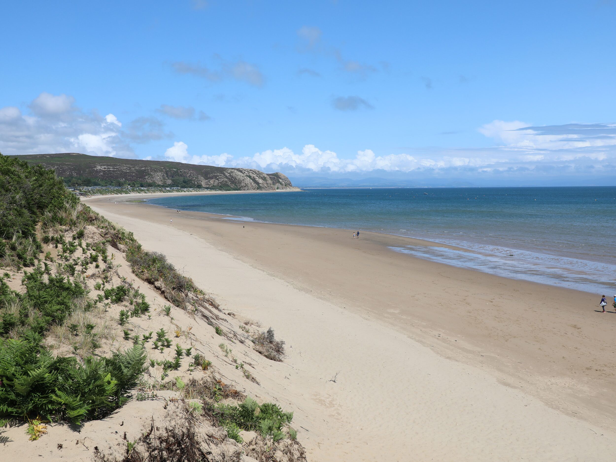 A beach with a sandy shore and a grassy cliff.
