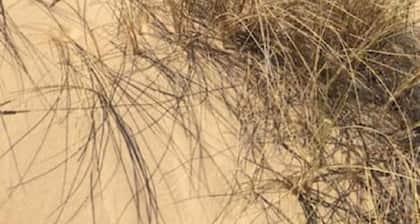 BIG VILLA WITH A PARKING