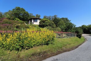 A rural road with a fence and yellow flowers.