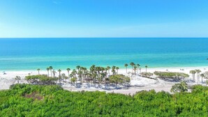 A beach with white sand, clear turquoise water, and palm trees. - Bright, airy Gulf of Mexico views! - WS1101 (Naples)