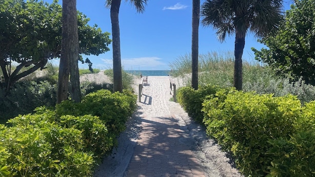 A paved pathway leading to a beach with palm trees and dense greenery on either side. - Delightful Gulf views from the 11th floor!-WS1102 (Naples)