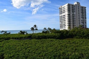 A tall hotel with multiple floors, surrounded by lush greenery and palm trees, overlooking a body of water. - Views of palm trees, sand and the Gulf! - WS0304 (Naples)