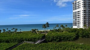 A coastal hotel with a view of the ocean and palm trees. - Gulf of Mexico view from your living room-WS0503 (Naples)