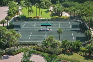 Vista aérea de una cancha de tenis rodeada de palmeras y follaje.
