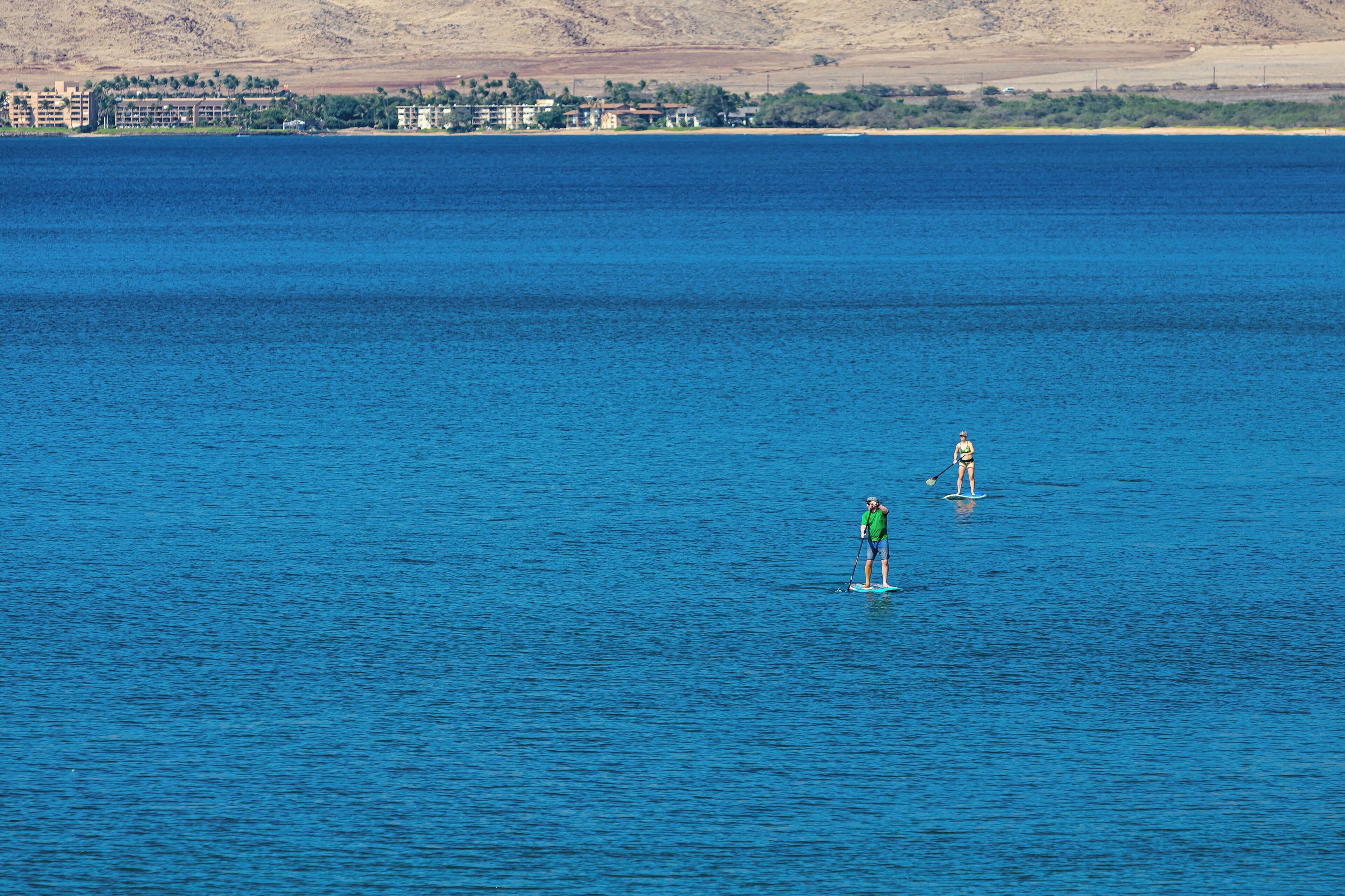A large body of water with two paddleboarders.