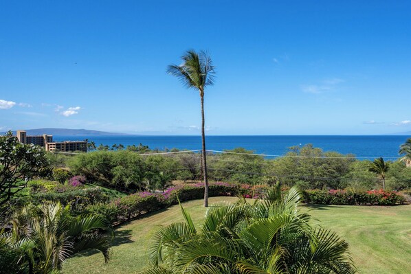 A tropical landscape with a palm tree, lush greenery, and a view of the ocean.