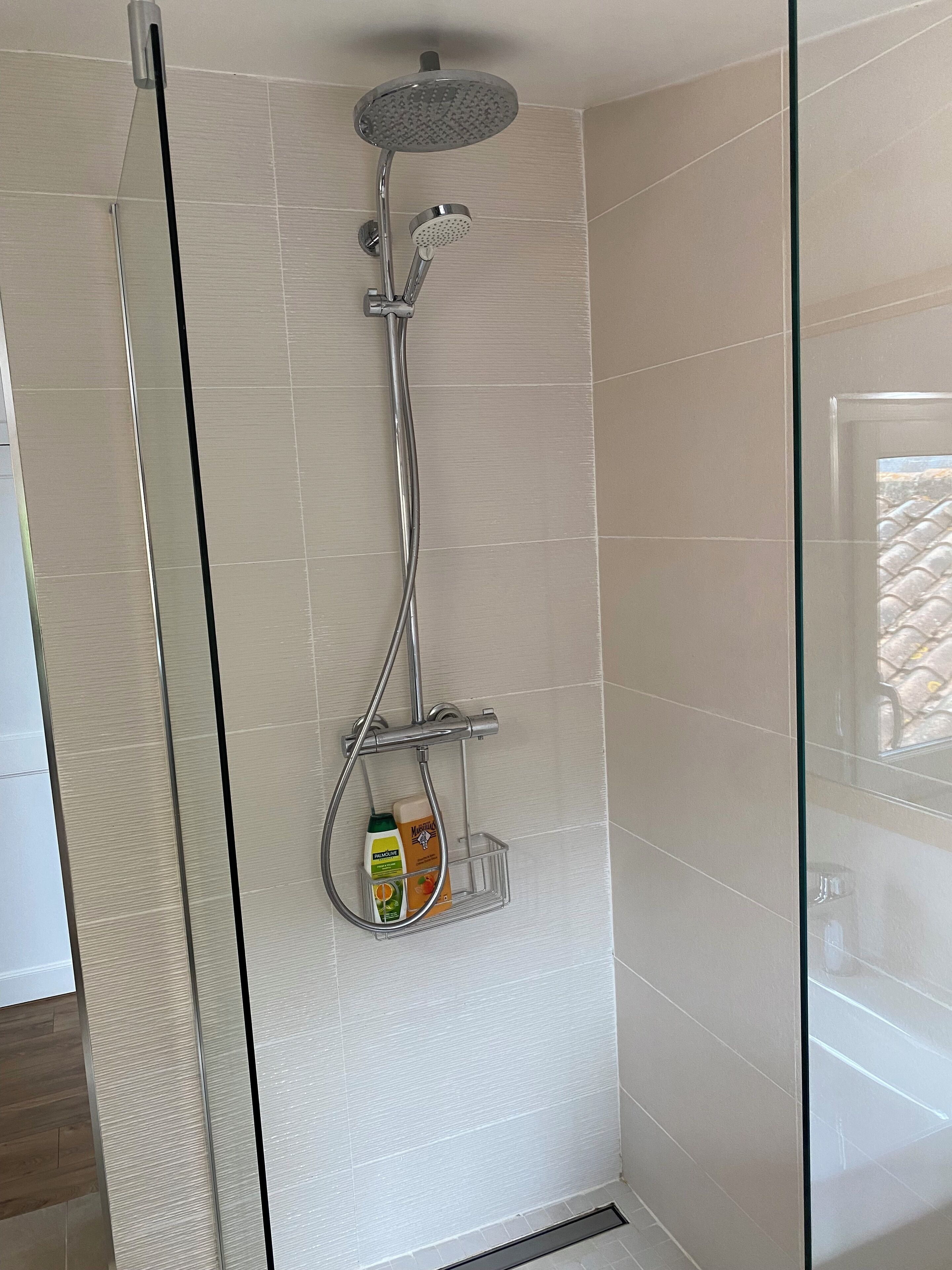 Ein modernes Badezimmer mit einer Duschkabine aus Glas, einer Handbrause, einer fest installierten Duschbrause und einem an der Wand montierten Seifenspender.