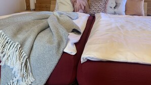 2 bedrooms, desk, free WiFi, bed sheets - Lovingly furnished apartment in a quiet location, 10 min walk to the beach (Langenargen)