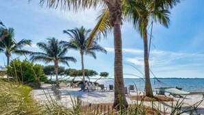 A beach with palm trees, beach chairs, and a hammock.