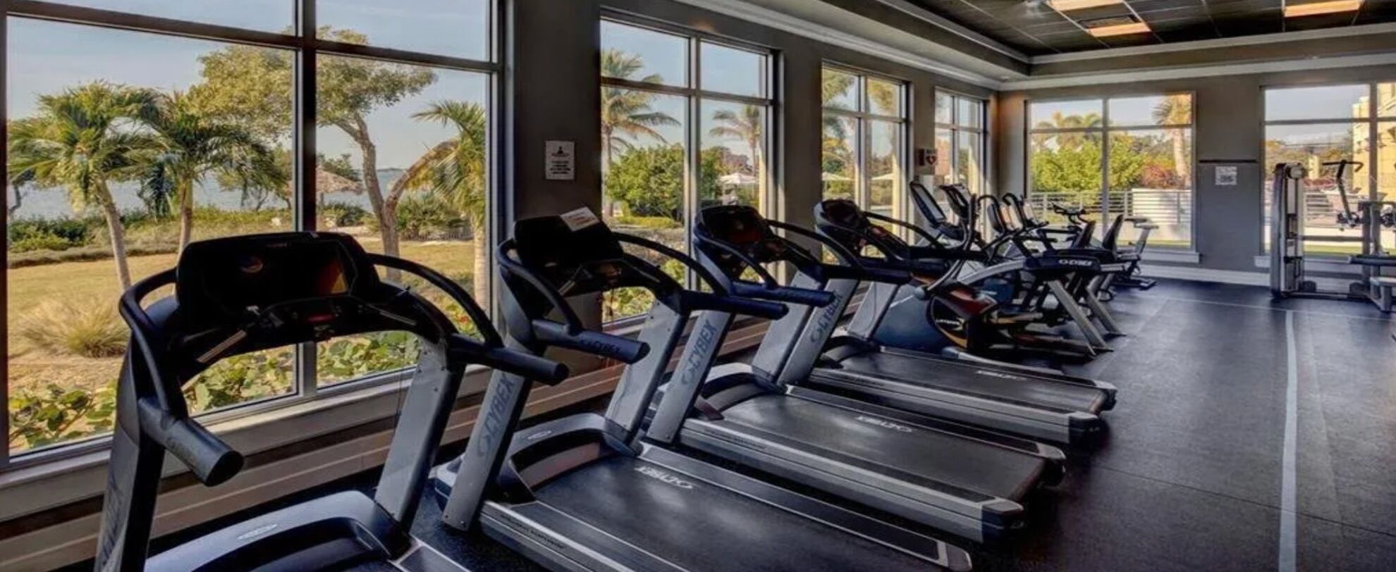 Une salle de sport équipée de tapis de course et d’appareils d’exercice, de grandes fenêtres offrant une vue sur des palmiers et un plan d’eau.