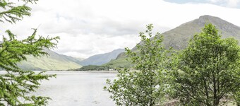 Silver Birch Lodge