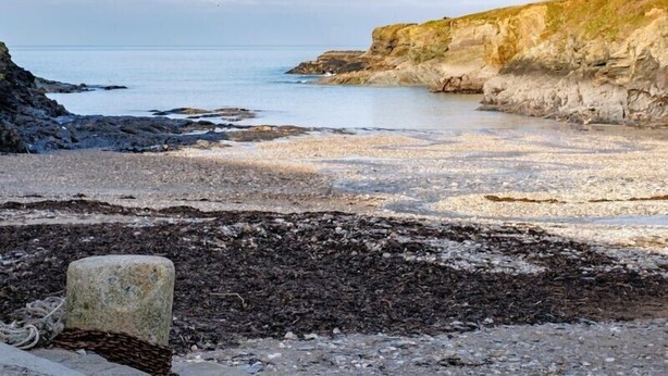 A coastal beach with rocky cliffs and calm sea. - Stop Tide (Port Isaac)