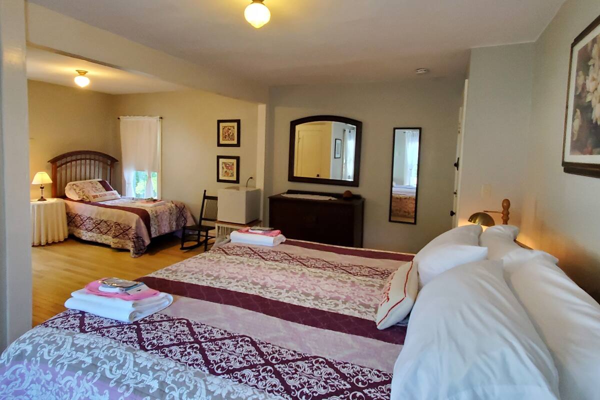A bedroom with two beds, a dresser, a chair, and a mirror.