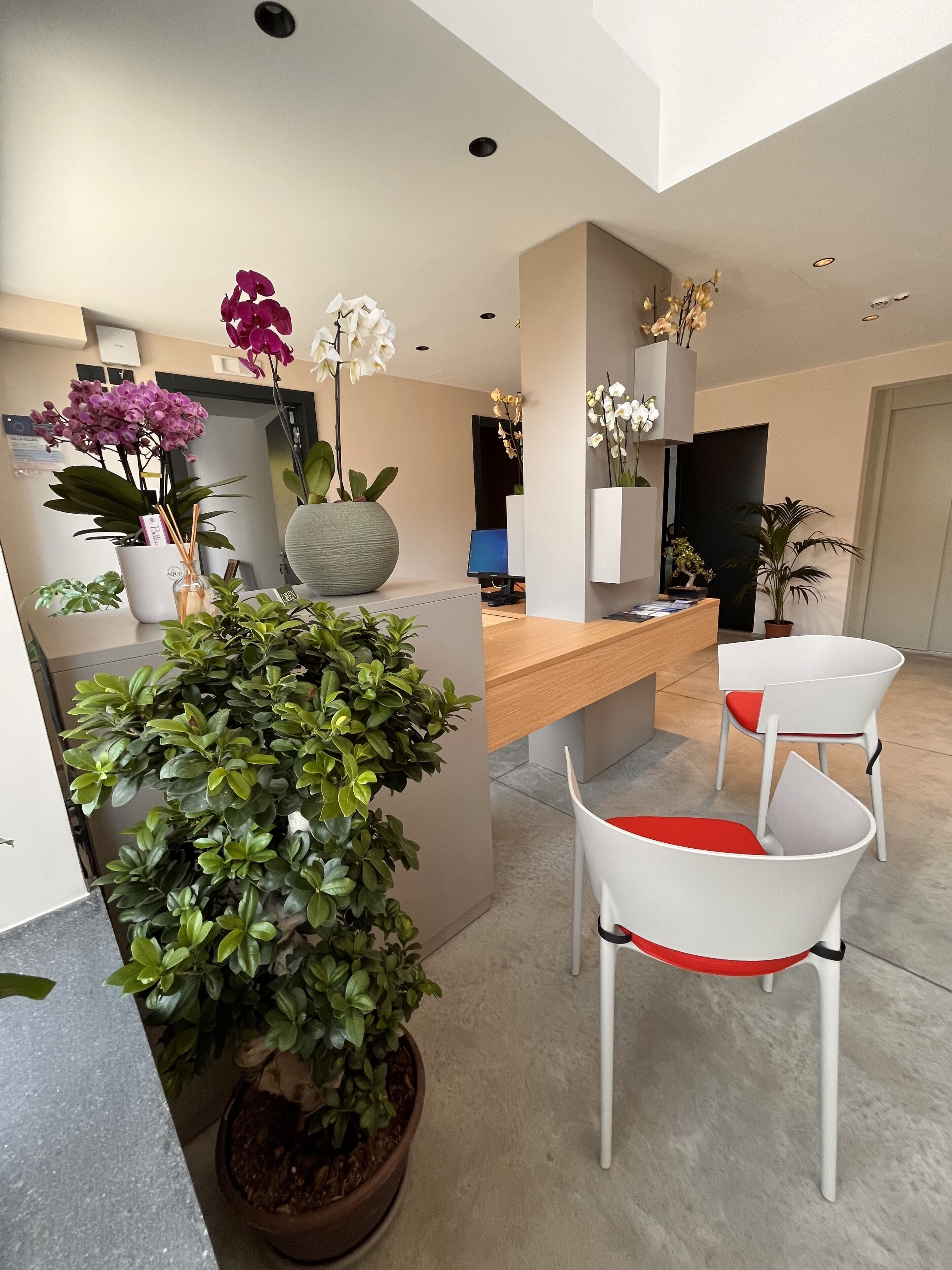 Foto - Ollen apartments