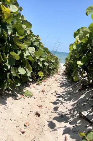 Plage, chaises longues, serviettes de plage