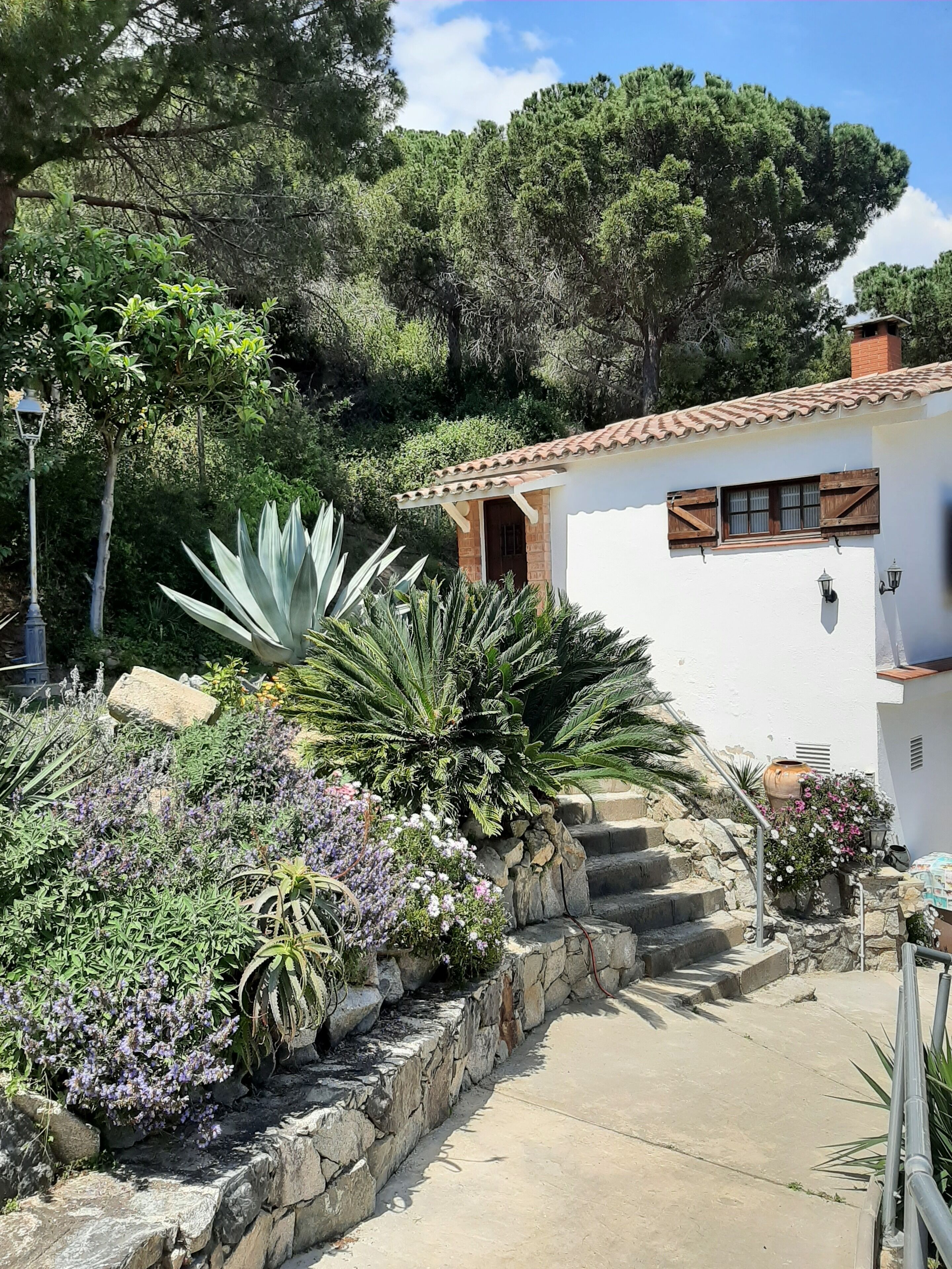 Jardines del alojamiento