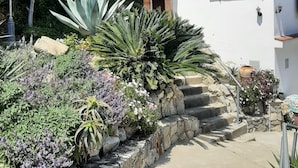 A white building with a tiled roof, stone steps, and a garden with various plants. - HOUSE/LOFT WITH SEA VIEWS, LARGE SWIMMING POOL, VERY QUIET. 2.5 KM FROM THE BEACH (Canet de Mar)