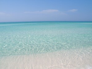 En la playa y camastros