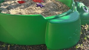Een groen plastic strandspeeltje in de vorm van een kikker, op gras met zand en twee plastic visjes erin.