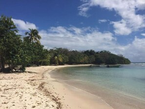 A beach with clear turquoise water, sandy shore, and dense tropical vegetation.
